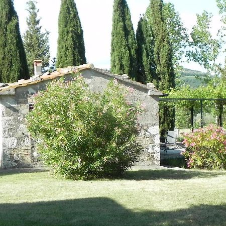 Vignagrande Agriturismo ซาตูร์เนีย ภายนอก รูปภาพ