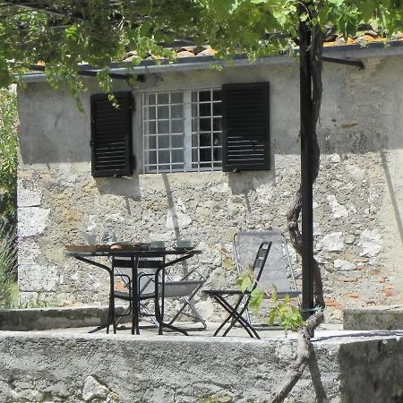 Vignagrande Agriturismo ซาตูร์เนีย ภายนอก รูปภาพ
