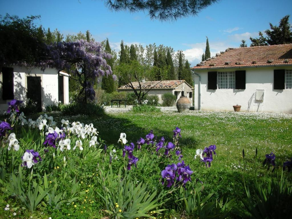 Vignagrande Agriturismo ซาตูร์เนีย ห้อง รูปภาพ
