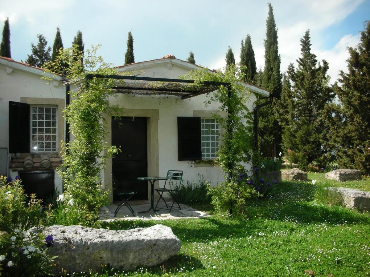 Vignagrande Agriturismo ซาตูร์เนีย ภายนอก รูปภาพ