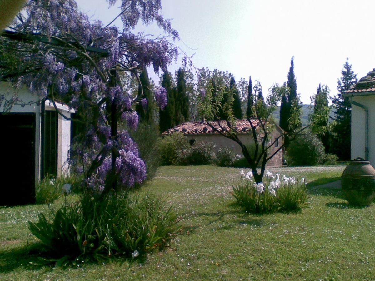 Vignagrande Agriturismo ซาตูร์เนีย ภายนอก รูปภาพ