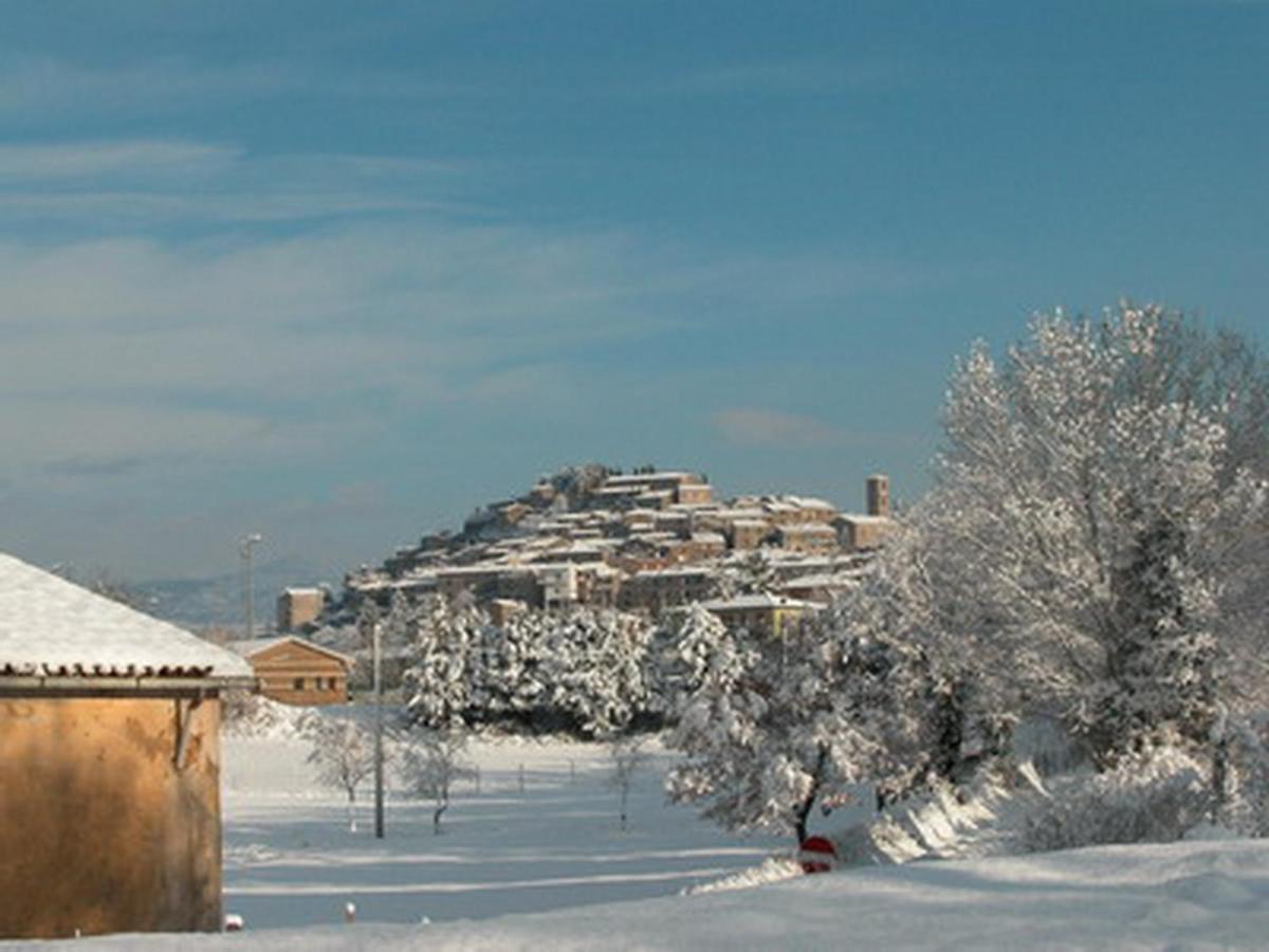 Vignagrande Agriturismo ซาตูร์เนีย ห้อง รูปภาพ